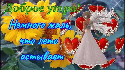 С Добрым Утром!!!#лето#август#утро | TikTok