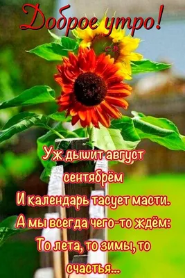 🌸☕️ Здравствуй, Август! Доброе утро Августа!🌸 Счастливого Августа!  Музыкальная видео открытка. - YouTube