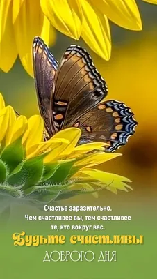 Пин от пользователя Ляля Тор на доске Доброе утро | Открытки, Доброе утро,  Бабочки