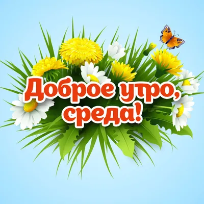 Доброе утро друзья!#четверг #тикток#деньдобрый #марина2504 #пожеланияд... |  TikTok