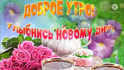 Картинки \"С Добрым Утром!\" для мужчины (256 шт.)