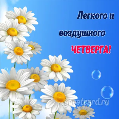 Прикольная открытка \"Доброго утра четверга!\", с ёжиком • Аудио от Путина,  голосовые, музыкальные