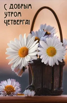 Картинки \"Доброе утро. Четверг\" (419 шт.)