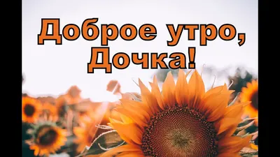 Доброе утро, ДОЧКА! - YouTube