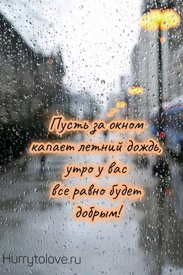 Идеи на тему «Доброе дождливое утро!» (190) | дождливое утро, доброе утро,  открытки