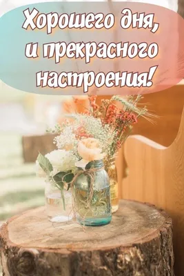 Доброе утро, друзья!. Всем продуктивного дня и хорошего настроения. А оно,  как известно, во многом зависит от нашего умения не реагировать спонтанно  на вызовы обстоятельств. Ну что, погнали изучать ленту?! - Лента