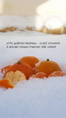 открытки доброе утро февраля｜Поиск в TikTok