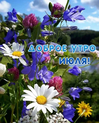 Открытки \"Доброго утра июля!\" бесплатно (153 шт.)