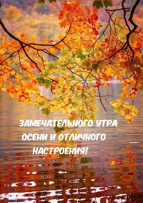 🎉🍁Доброе утро, друзья! 🍂🍂Осень — это время философов и мыслителей.  Ничто так наглядно не говорит.. | ВКонтакте