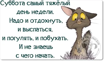 Доброго солнечного утра и чудесного дня картинки прикольные смешные с  надписью