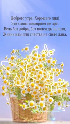 Доброе утро, девочки! Попались красивые слова о талантах... Один из них:  уметь получать удовольствие от пустяков.😜 Очень.. | ВКонтакте