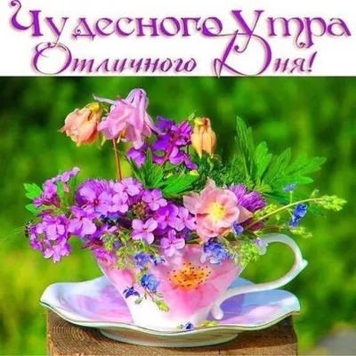 Лариса on X: \"Доброе утро, народ 😉🥰🤗🤗🤗😘😘☕☕☕ https://t.co/NA5YMKjmAA\"  / X