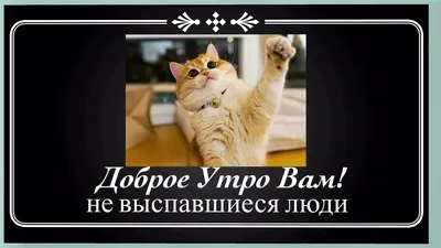 Евгения Николаевна Б - Всем доброе утро! Хорошего дня! Прекрасного  настроения!🤗🍫☕🌿🌺🌼☘🌸🌿 | Facebook