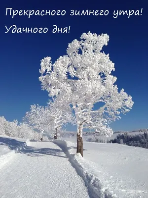Доброе утро, Армянск. Желаем всем хорошего дня и отличного настроения на  весь день - Лента новостей Крыма
