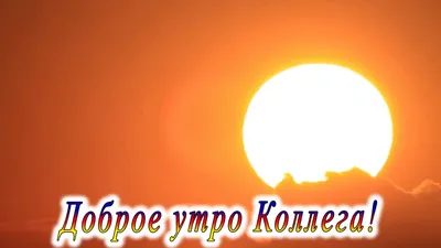 Пишется: Произносится: Что Што Собака Сабака Как же надоело Доброе утро,  сюда ездить, коллеги / грамматика :: работа / смешные картинки и другие  приколы: комиксы, гиф анимация, видео, лучший интеллектуальный юмор.