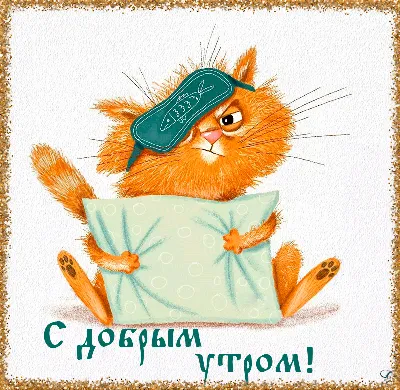 Утренний котик - 67 фото