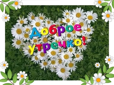 Гармония - 💖Доброе Утро! Последние выходные уходящего лета пусть нас  порадуют теплом и солнцем. | Facebook