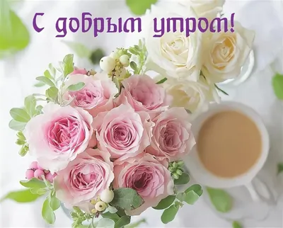 💗☕️🌷Доброе Утро! Хорошего Дня! Заряд Позитива на Весь День!💞 - YouTube