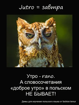 Кофе Московская Кофейня На Паяхъ Доброе утро молотый 180 г - отзывы  покупателей на маркетплейсе Мегамаркет | Артикул: 100039744376