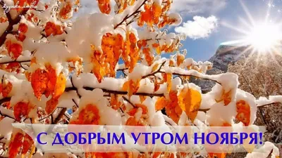 Ноябрь | Доброе утро, Осенние картинки, Сельские виды