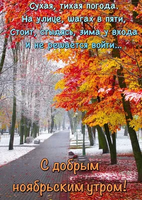 С Добрым Утром, Ноябрь!🍁❄️ Здравствуй, Ноябрь! Музыкальная Открытка  Пожелание! Музыка Сергей Чекалин - YouTube