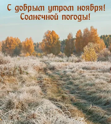 С добрым утром, краснолучане! На календаре 14 ноября, вторник - Лента  новостей ЛНР