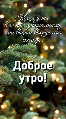 Доброе утро: позитивные предновогодние новости на 15 декабря