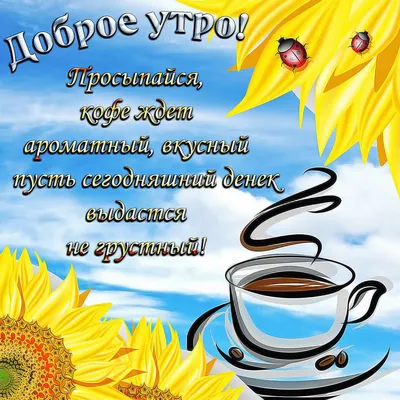 Доброе утро Картинки и красивые Открытки с добрым утром ☀️