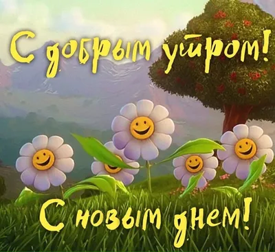 Доброе утро!!☀ Новые открытки каждый день! подписывайся)  https://vk.com/pozdravvse #доброеутро.. | ВКонтакте