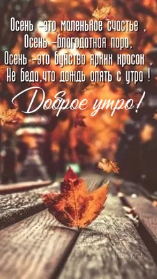 Доброе утро! Погода на 20 октября! утро – Дождь + 7°...+8°С ветер С 2 м/с  день – Дождь +8°…+9°С ветер С 4 м/с вечер – Дождь +8°…+9°С ветер… |  Instagram