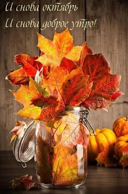 С добрым утром друзья ☕🍁🍂🍁🤗#28октября #сдобрымутром #доброе_утро |  TikTok