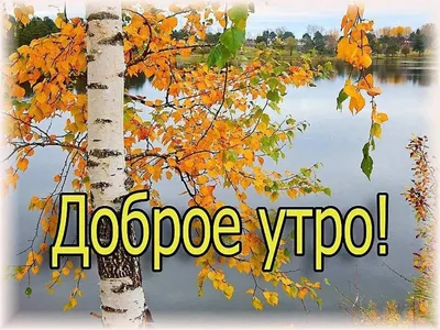 Открытки \"Доброе утро октябрь\" (1397 шт.)