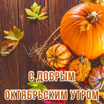 С добрым утром 12 октября｜TikTok Search