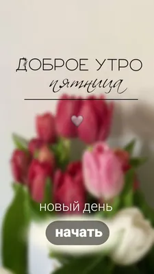 С Добрым утром пятницы!#сдобрымутром#пятница#сдобрымутромпятницы#добро... |  TikTok