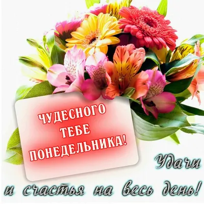 Доброе утро понедельника! Удачной недели! #доброеутречко #👋🤗😘💃⚘️ ... |  TikTok