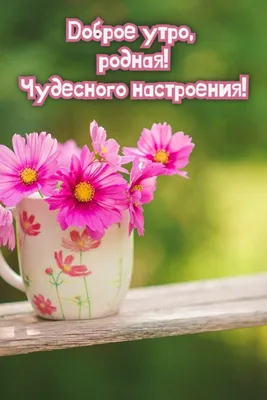 ☀️💋Красивые картинки \"С добрым утром, любимая\" (219 шт.) | Картинки, Доброе  утро, Веселые картинки