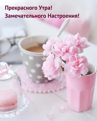 antonovwriter - Доброе Утро Мои Самые Красивые и Нежные Женщины ❤️!!!!! Вот  уже Утро и Я Вас Очень Люблю но есть у Вас Мужчины и Я Вас Прошу чтоб Вы  Мои Самые