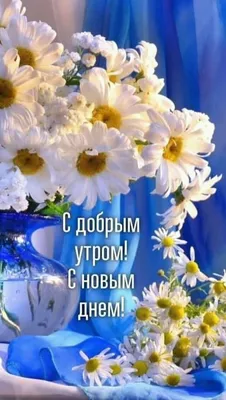 Косметолог эстет международного класса в Бухаре - Доброе утро, мои самые  красивые 🌹🌹 | Facebook