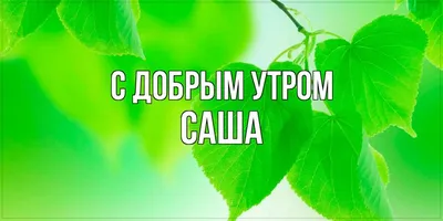 Кружка luzimuzi \"Утро доброе, а Александра нет\", 330 мл - купить по  доступным ценам в интернет-магазине OZON (360499552)