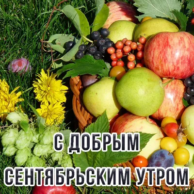 Алина Г. on X: \"Доброе утро всем! Сентябрь - месяц благодарения.  Благодарить. Благодатный. Благостный. “Благо” - сама суть сентября, его  неиссякаемая полнота. ___Юлия Прозорова https://t.co/fWfQTba2a1\" / X