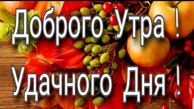 С добрым утром сентября - новые красивые открытки (45 ФОТО) | Доброе утро,  Открытки, Утренние цитаты