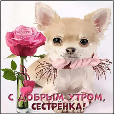 Сестричка!#Доброе#утро!# | TikTok