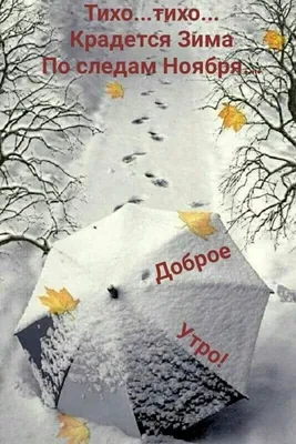 Хаскимоихаски🐾🐾 | Доброе утро❄️❄️❄️мы дождались снег❄️❄️❄️ураааа!!! | Дзен