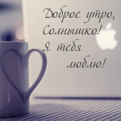 Картинка: \"Доброе утро! Солнце уже встало и пора любоваться его лучами...\"  • Аудио от Путина, голосовые, музыкальные