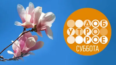 Доброе утро суббота стоковое изображение. изображение насчитывающей  шелушение - 39654649