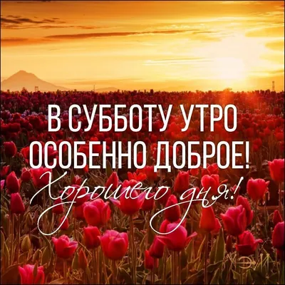 Доброе утро субботы!❤ ⠀ Желаем доброго утра и великолепного настроения!  Пусть утренние лучики солнца постучат в ваше окно, пусть утренняя… |  Instagram