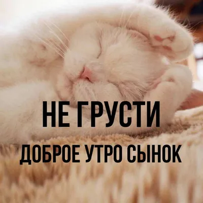 доброеутро #красивое #пожелание сыну | TikTok