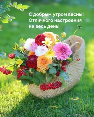 Доброе утро#Суббота#Весна#Хорошего дня#Отличного настроения# Моим друз... |  TikTok