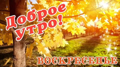 Доброе утро, моя любимая! Желаю тебе счастливого воскресенья!» — создано в  Шедевруме