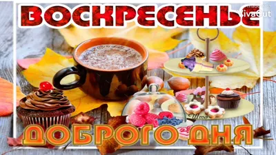 Доброе утро воскресенья от Санго / Sango